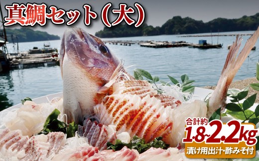 九十九島産 真鯛 フィーレ 3枚 セット 1.8～2.2kg 下処理済 新鮮 産地直送  鯛 タイ 鮮魚 刺身  鯛鍋 鯛飯 鯛茶漬け 一成水産 長崎県 佐世保市
