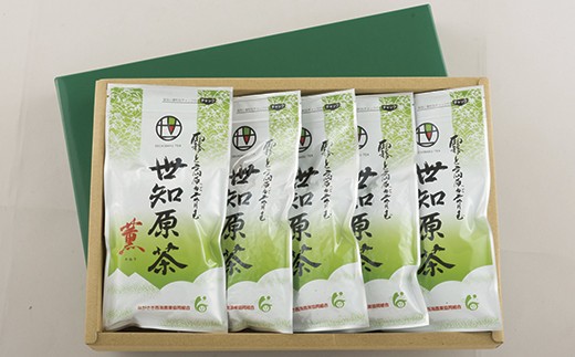 C232p 荳也衍蜴溯幻ス「阮ォス」5譛ャ繧サ繝繝