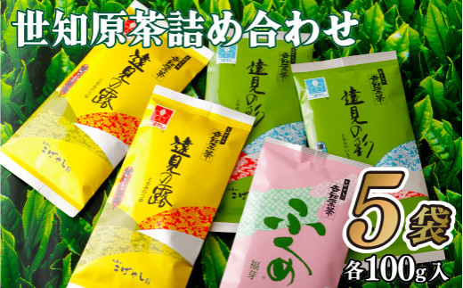 【 産地直送 】 【 2026年 新茶 】 世知原 茶 3種 詰め合わせ セット 500g ( 100g × 5 ) 希少 国産 お茶 日本茶 緑茶 茶葉 本場 小林製茶 長崎県 佐世保市