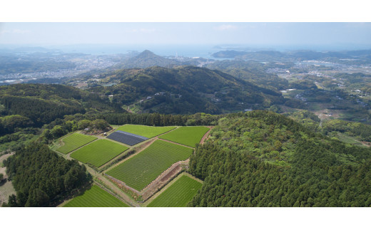 C242p 縲宣サ邯ャ隍堤ォ蜿礼ォシ∝、ァ螳ケ驥上第怏讖溽キ題幻 謚ケ闌カ 蜈・繧 繝繧」繝シ繝舌ャ繧ー 40蛹シ20蛹蜈・?シ抵シ