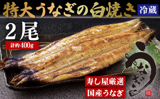 A384p 寿し屋厳選!特大うなぎの白焼き(国産)