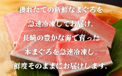 A207p 迚ケ驕ク髟キ蟠守恁逕」譛ャ縺セ縺舌m繝医Ο繧サ繝繝(鬢頑ョ)