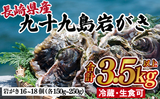 九十九島岩がき 牡蠣 冷蔵 かき カキ むき身 岩牡蠣 いわ牡蠣 貝 海鮮 魚介 魚介類 新鮮  カキフライ 牡蠣鍋 焼き牡蠣 アヒージョ 長崎県 佐世保市 A162p 