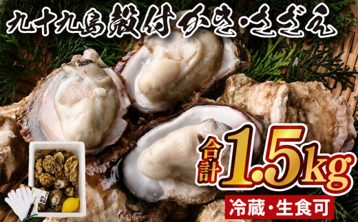 【 先行受付 】九十九島 殻付かき･さざえ 計1.5kg 牡蠣 サザエ 佐世保 長﨑
