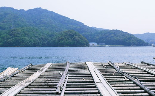 縲 蜈郁。悟女莉 縲台ケ晏香荵晏ウカ 谿サ莉倥°縺搾ス・縺輔*縺 險1.5kg 迚。陟」 繧オ繧カ繧ィ 菴蝉ク紋ソ 髟キィ