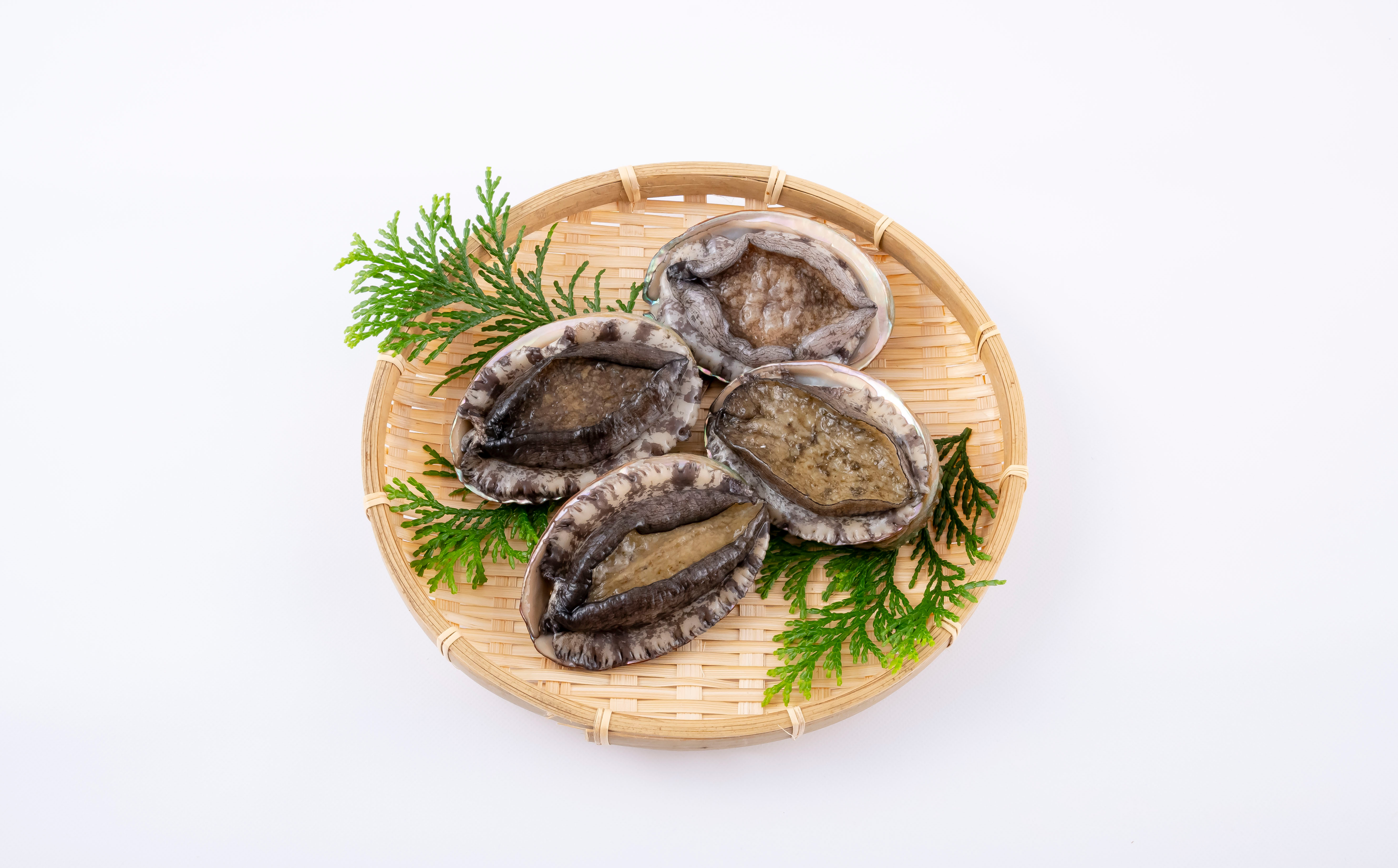 A508 翠巡(すいじゅん)完全養殖佐世保産あわび10個