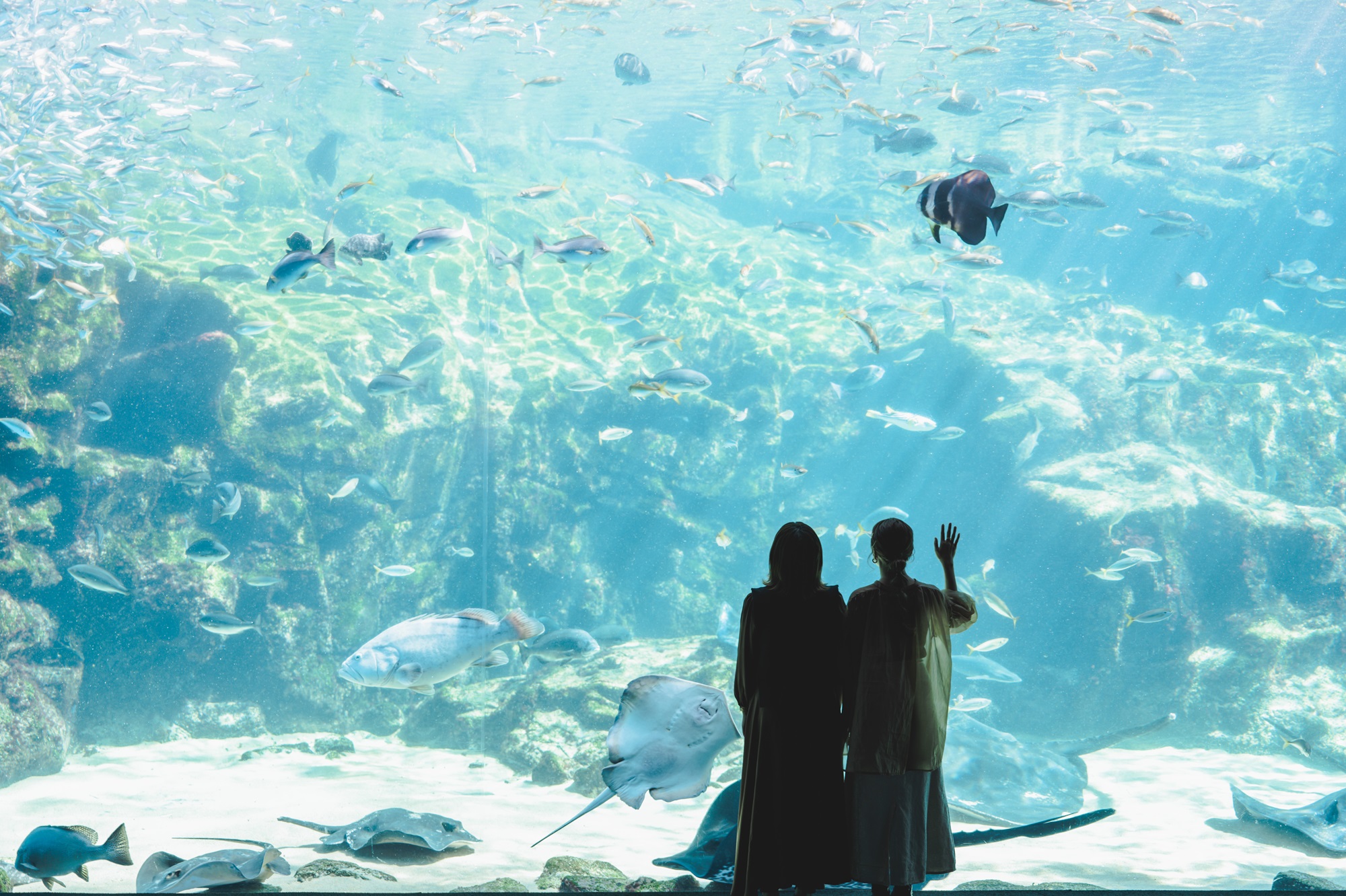 【佐世保観光で使えるポイント】させぼe旅ポイント18,000円分 観光 地域通貨 電子決済 飲食 宿泊 体験 電子通貨 ハウステンボス 佐世保宿泊券 旅行