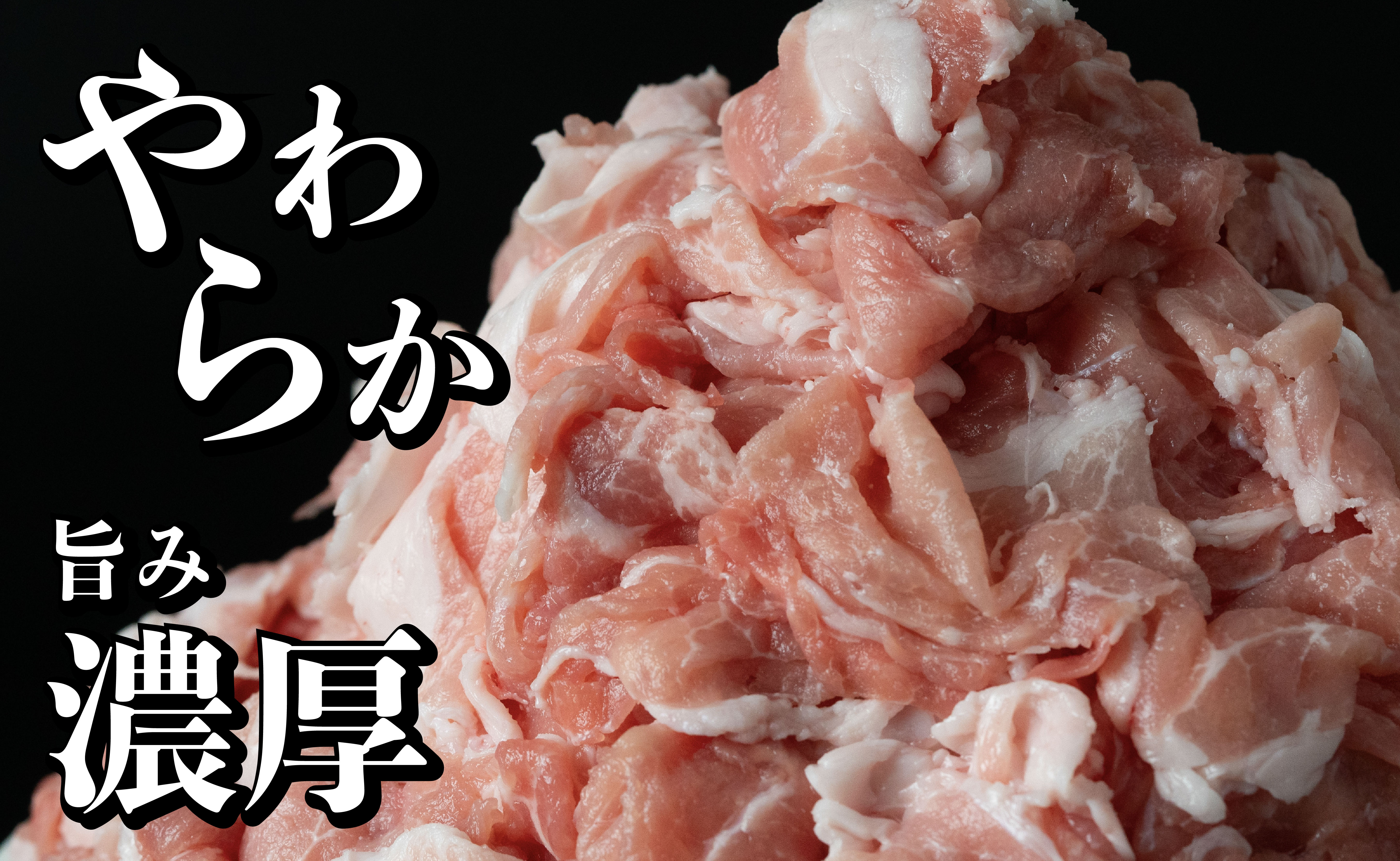 B572 《定期便》長崎県産豚 小間切れ 計1.8kg (300g×6)【12回お届け】