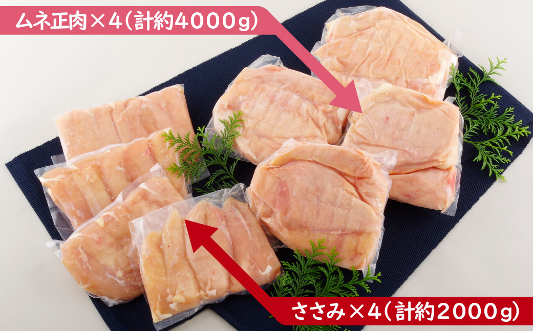 【鶏肉むね・ささみセット】ながさき福とり 鶏肉正肉セット (計6,000g) 【長崎福鳥】小分け 真空冷凍 冷凍 むね ムネ ささみ ササミ ハーブの力で健康に育てたブランド鶏