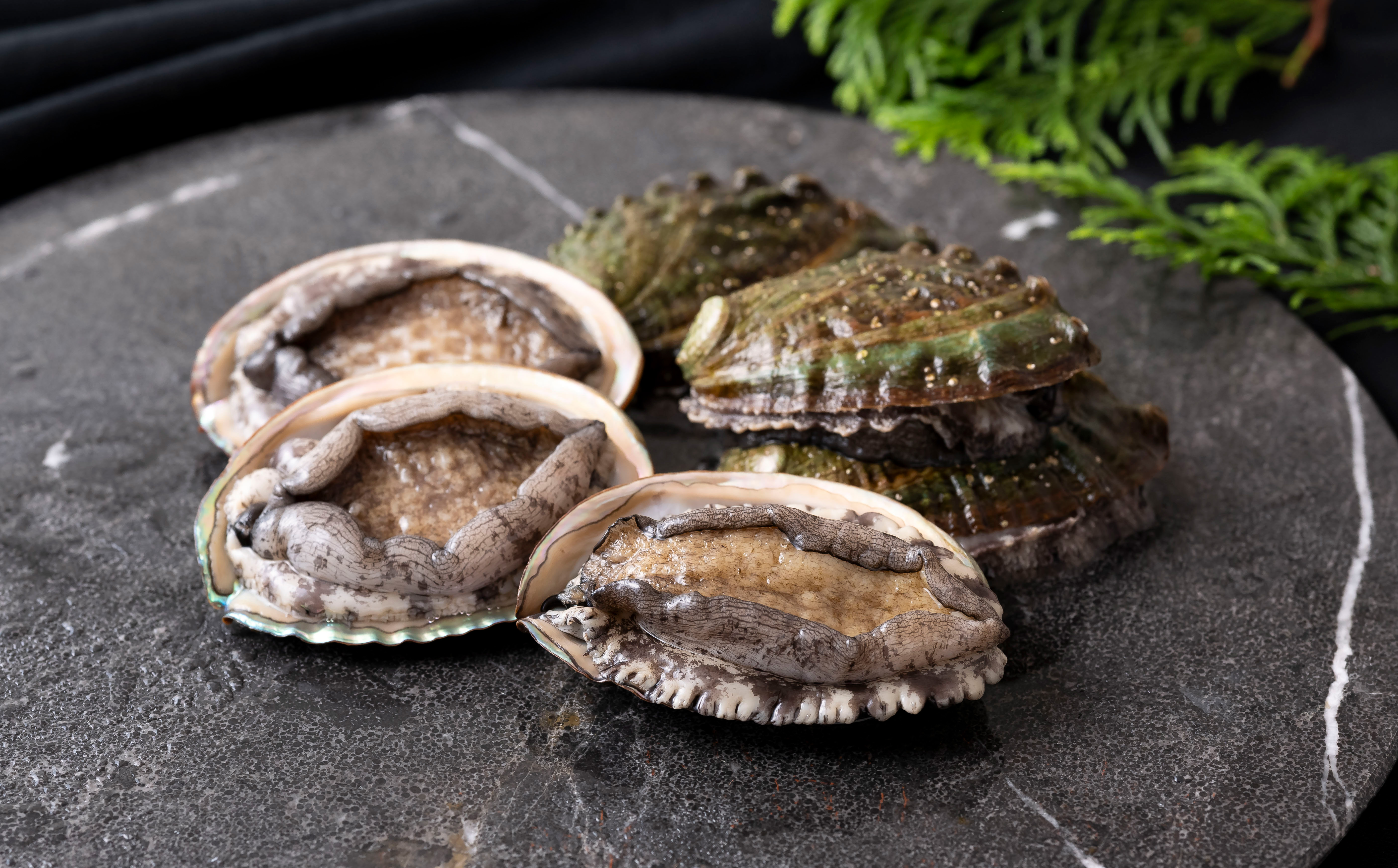 A507 翠巡(すいじゅん)完全養殖佐世保産あわび4個