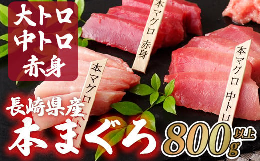 長崎県産 本マグロ (大トロ・中トロ・赤身)  計800g以上 海鮮丼のタレ付き 真空パック後に超速冷凍【本家永松家】マグロ まぐろ 鮪 大トロ 大とろ 中トロ 中とろ 赤身 刺身 海鮮丼