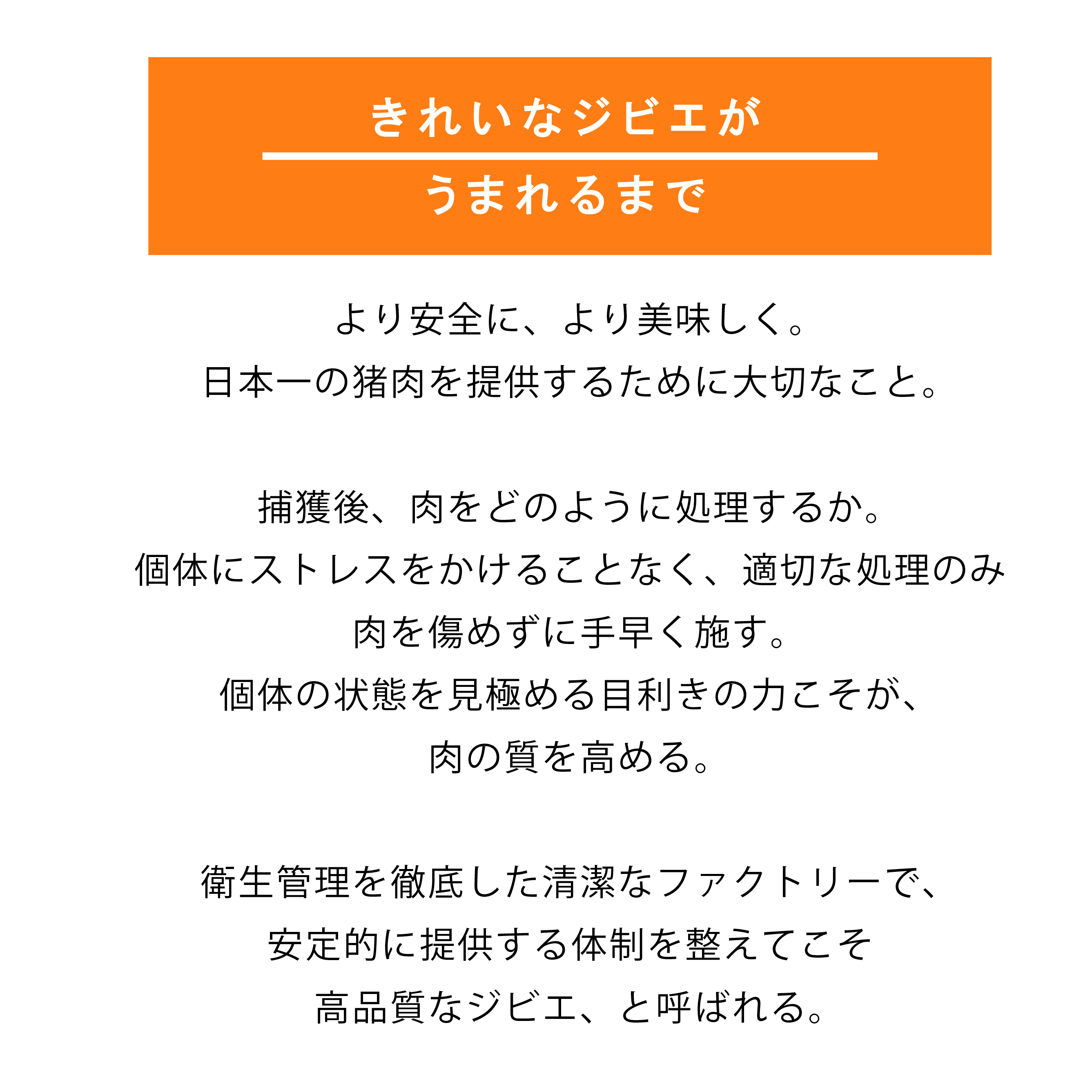 B567 《定期便》Newジビエ 平戸いのしし 食べ比べ月替わり便(ロース･肩ロース･バラ･モモ)【4回お届け】