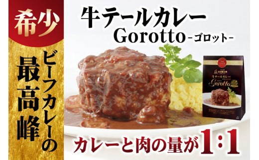 【2024北野エースカレー大賞受賞】【驚きの肉量】牛テールカレー ゴロット 3個セット 【豊味館】感動のやわらかさ Gorotto 長崎 佐世保 九州 レトルトカレー ビーフカレー