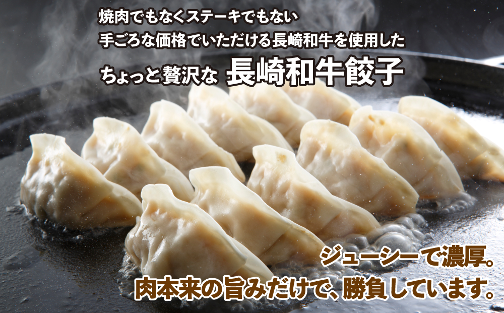 E489　長崎和牛餃子(A4等級以上) (14個入×3パック)