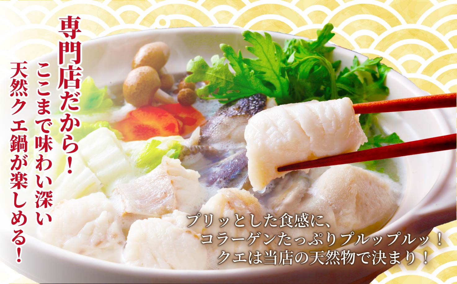 〈よか魚〉長崎産天然クエ鍋とクエ刺身