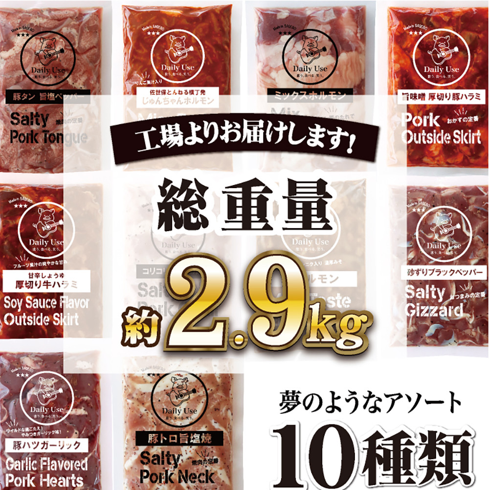 特製タレ漬け 工場直送！ホルモン 人気10種セット 計2.9kg【長崎 豊味館】おつまみ 小分け 冷凍 ホルモン 焼肉 BBQ 新鮮 工場直送