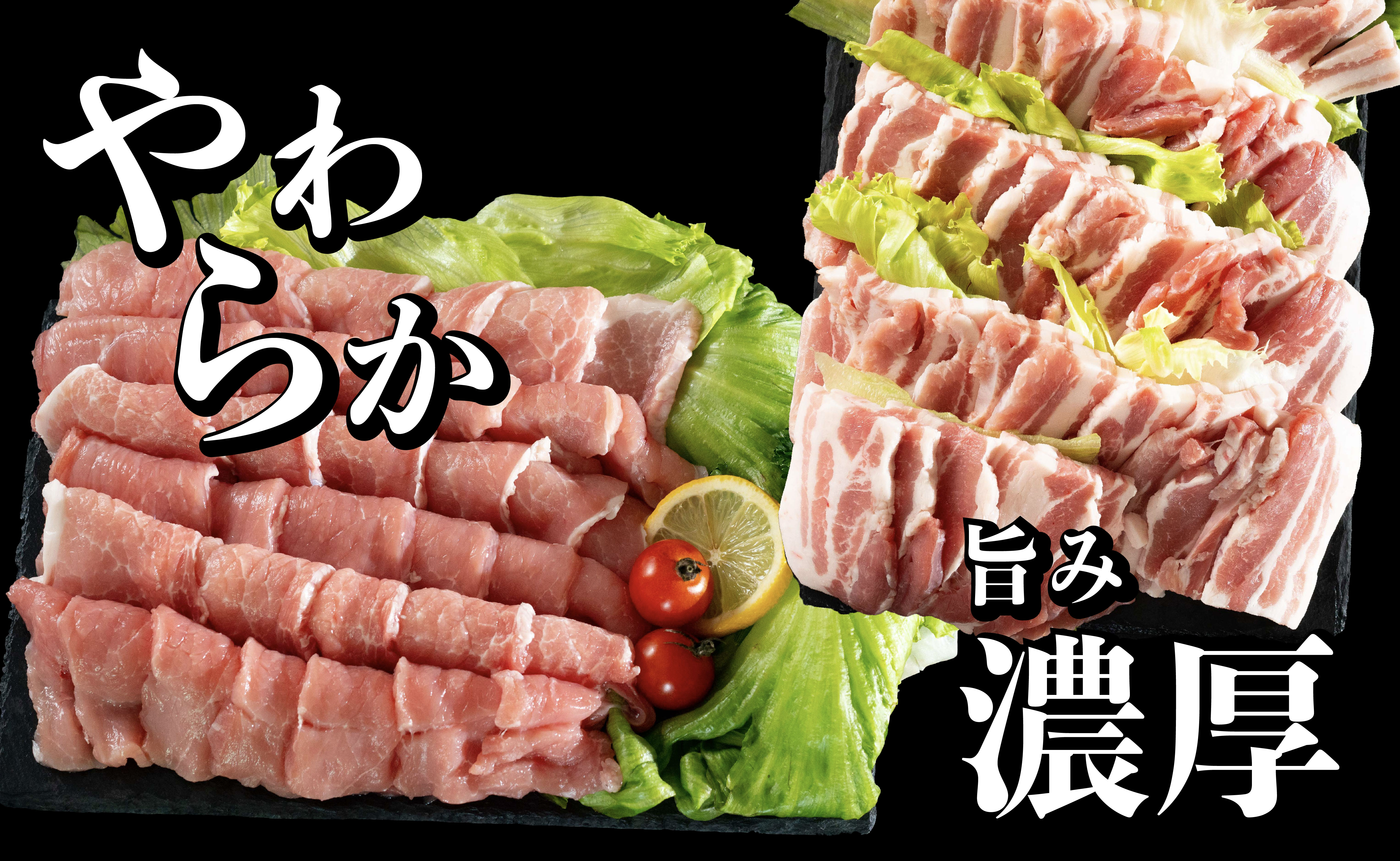 B603《定期便》長崎県産豚 バラ･ロース 焼肉用 2種食べ比べ 計1kg(バラ500g×1･ロース500g×1)6回お届け】