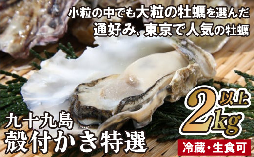 九十九島殻付かき特選 2kg以上！ 生食可 牡蠣 生ガキ 生牡蠣 ギフト