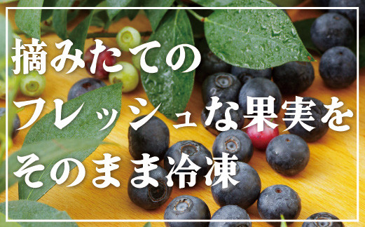 訳あり加工用冷凍ブルーベリー｢あいあいの雫｣1,000g