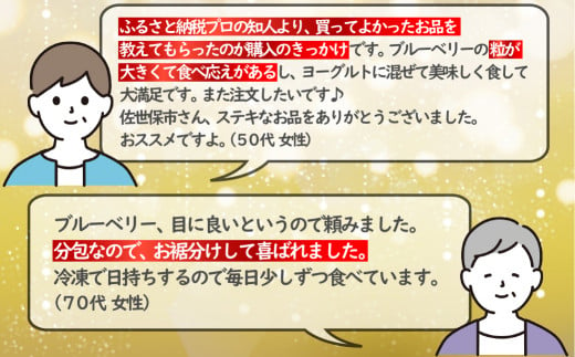 冷凍ブルーベリー ｢あいあいの雫｣ 計1.2kg (300g×4P) ジップ付き小分け【堀内フルーツファーム】パウチ袋 果物 ブルーベリー フルーツ 小分け 長崎 佐世保 九州 冷凍 国産
