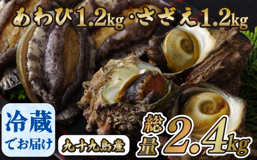 A179a 九十九島あわび(1,200g)･さざえ(1,200g)