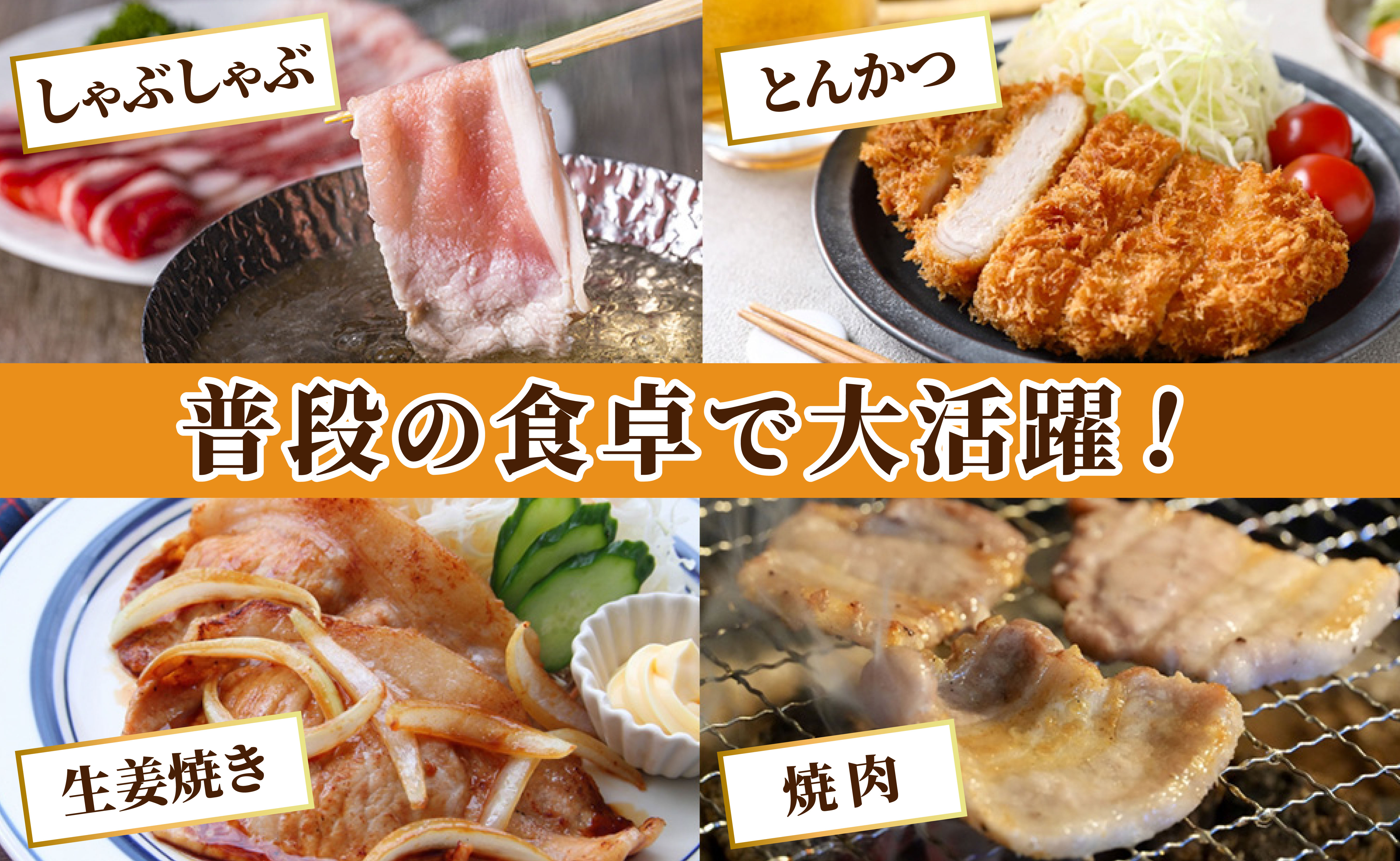 B618 《定期便》長崎県産豚 バラエティ 5点セット 計2.5kg【3回お届け】