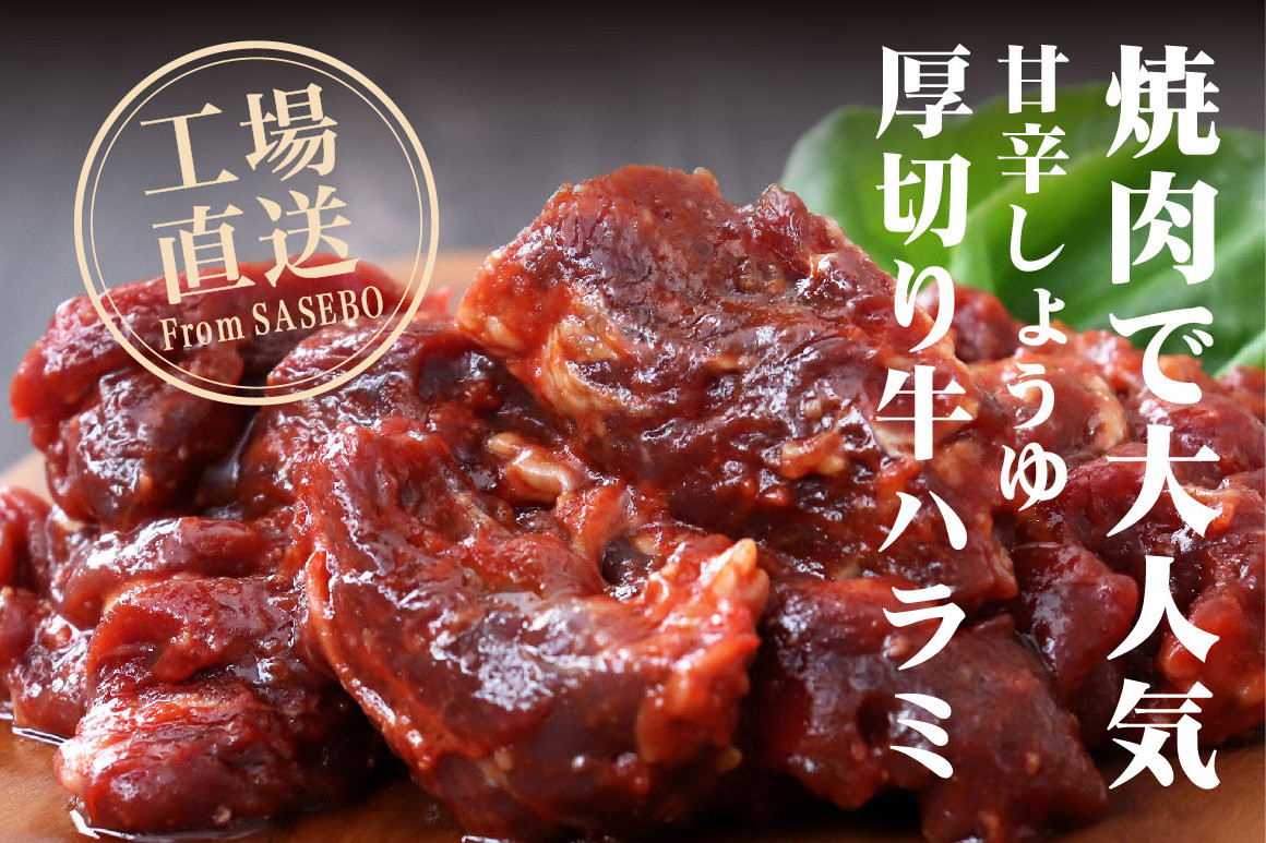 特製タレ漬け 牛・豚 ハラミ 約1.5kg (250g×6P) 小分け 冷凍【長崎 豊味館】牛肉 豚肉 食べ比べ ハラミ はらみ 焼肉セット BBQセット 焼くだけ 簡単