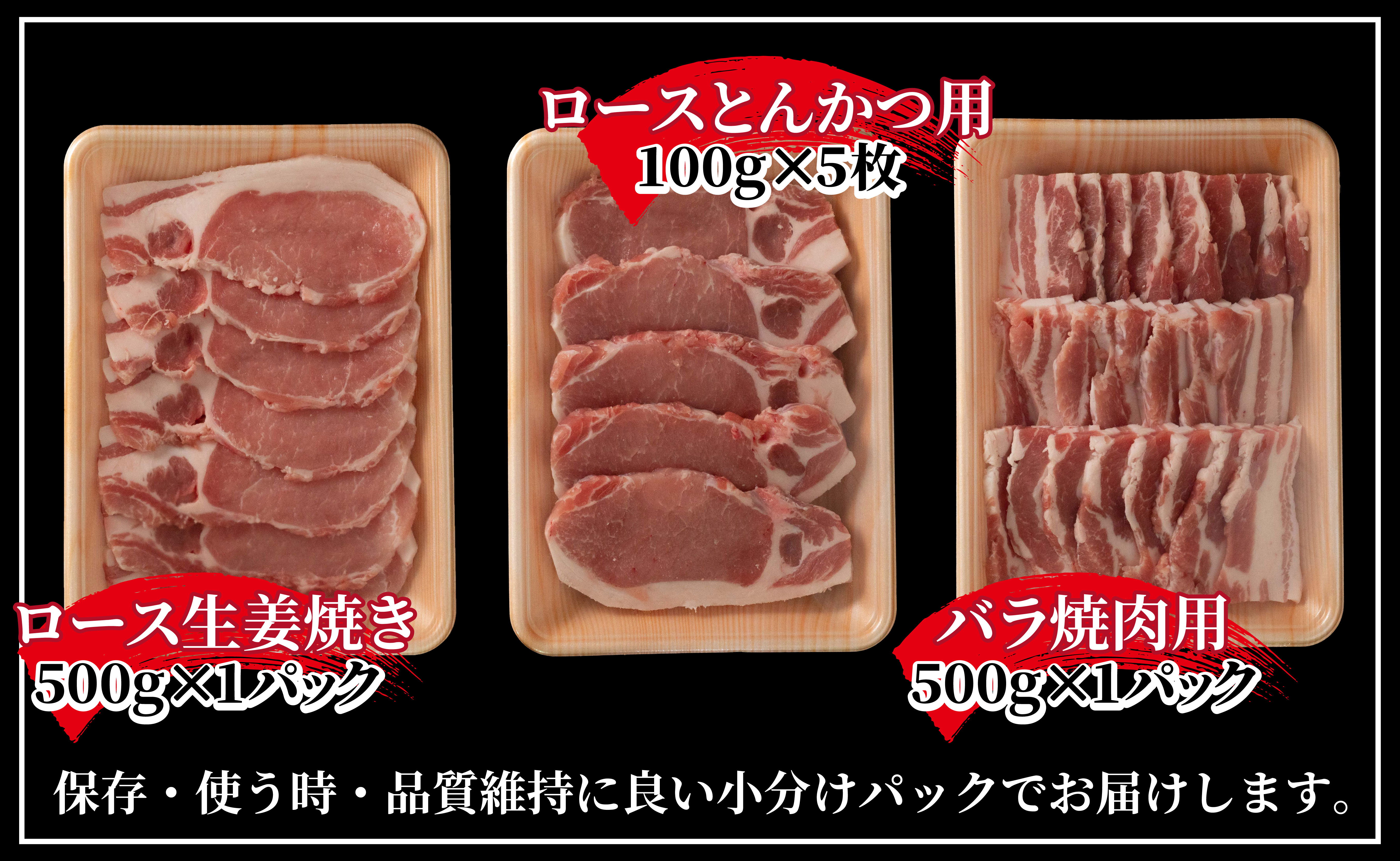 B619《定期便》長崎県産豚 バラエティ 5点セット 計2.5kg【6回お届け】