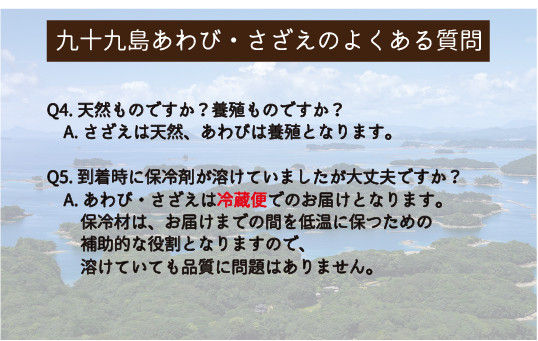 九十九島あわび(600g)･さざえ(600g) 生食 新鮮 魚介 魚貝 贈答 お中元 お歳暮 ギフト