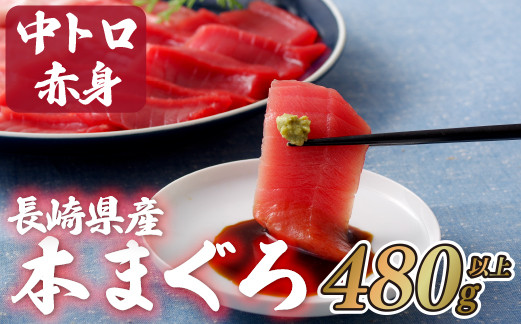 長崎県産 本マグロ (中トロ・赤身)  計480g以上 海鮮丼のタレ付き 真空パック後に超速冷凍【本家永松家】マグロ まぐろ 鮪 中トロ 中とろ 赤身 刺身 海鮮丼 寿司