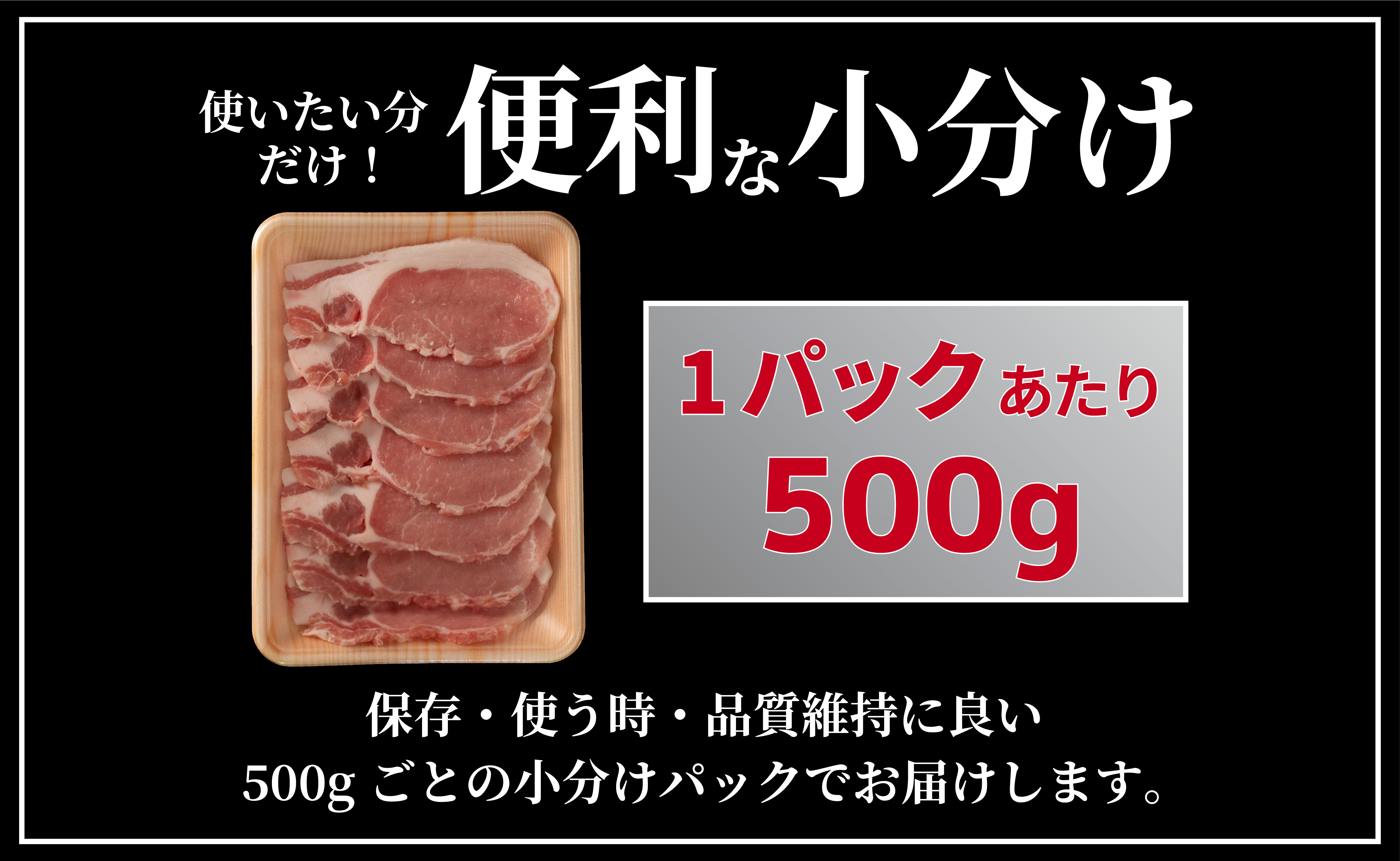 B607《定期便》長崎県産豚 ロース生姜焼き用 計1kg (500g×2)【6回お届け】
