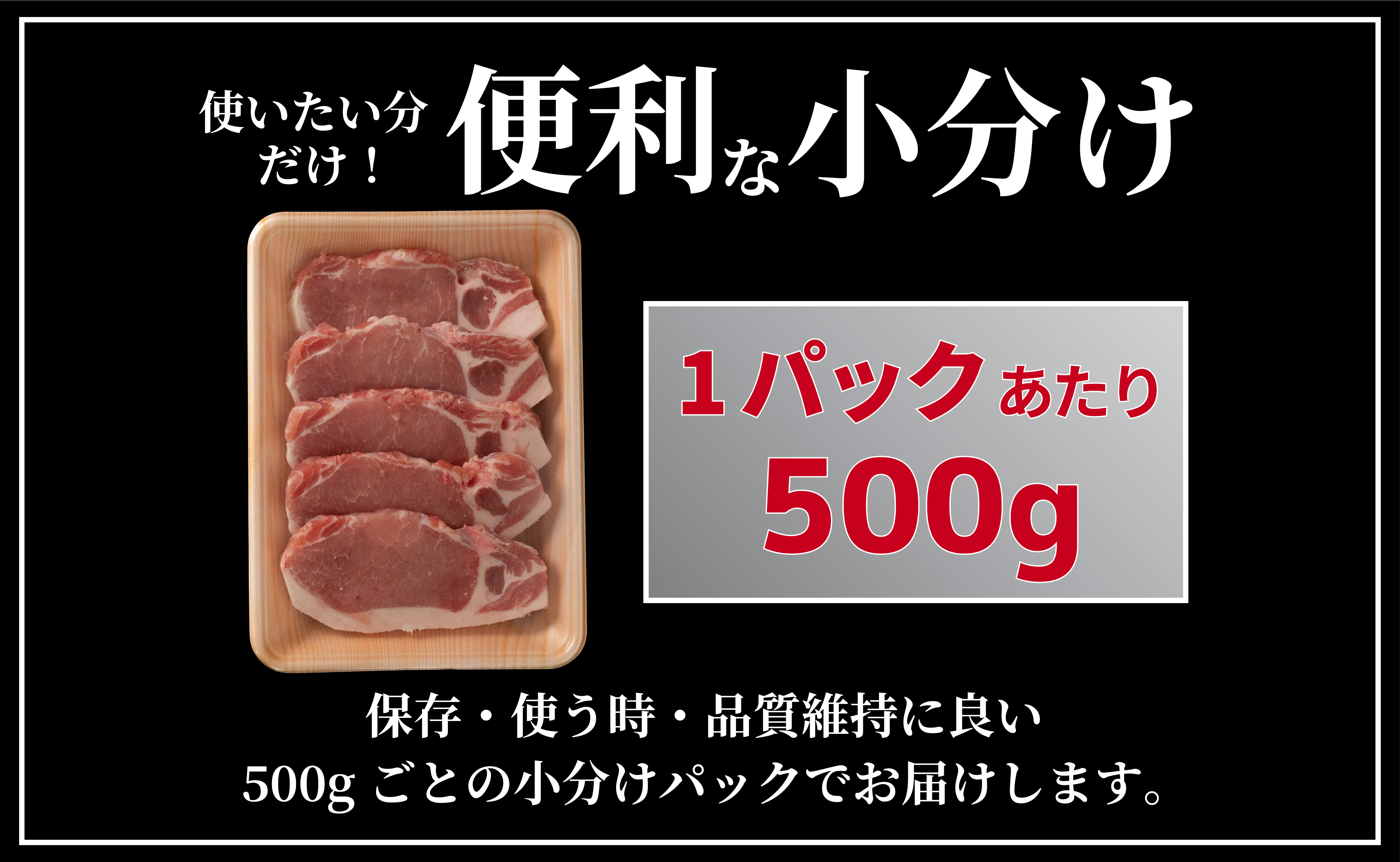 B612《定期便》長崎県産豚 ロースとんかつ用計1kg(100g×5枚×2) 【12回お届け】