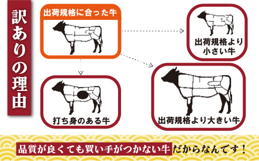 訳あり長崎県産和牛切り落とし(1,000g)