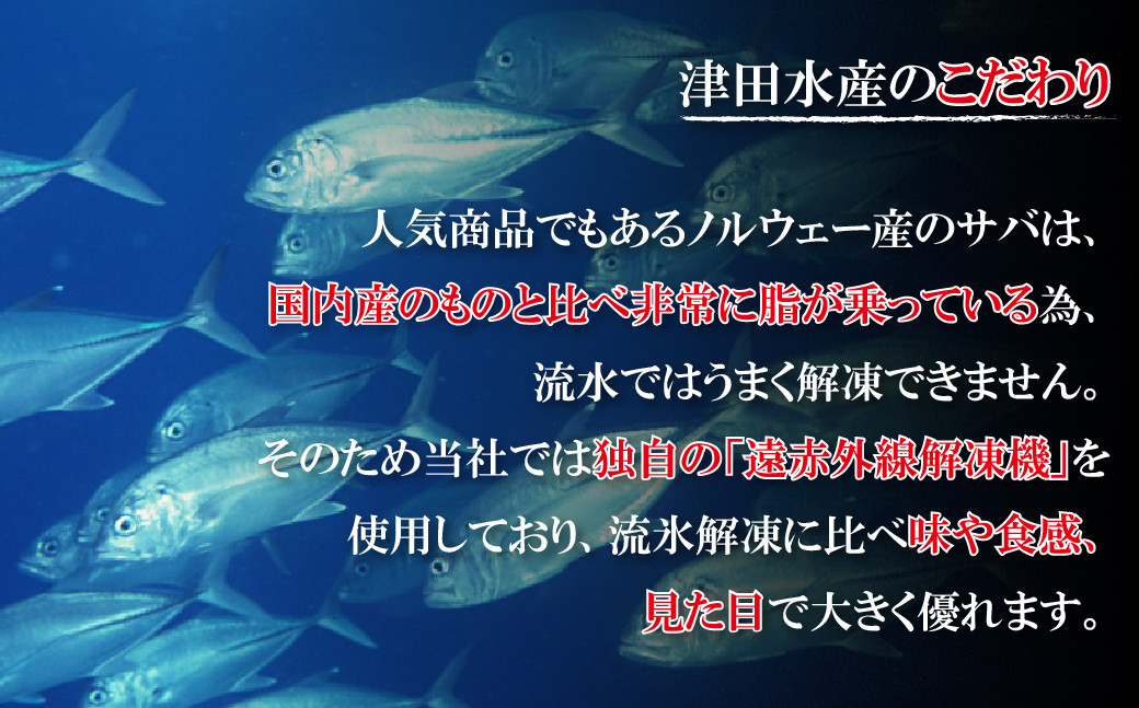 ひものギフト｢凪｣津田水産