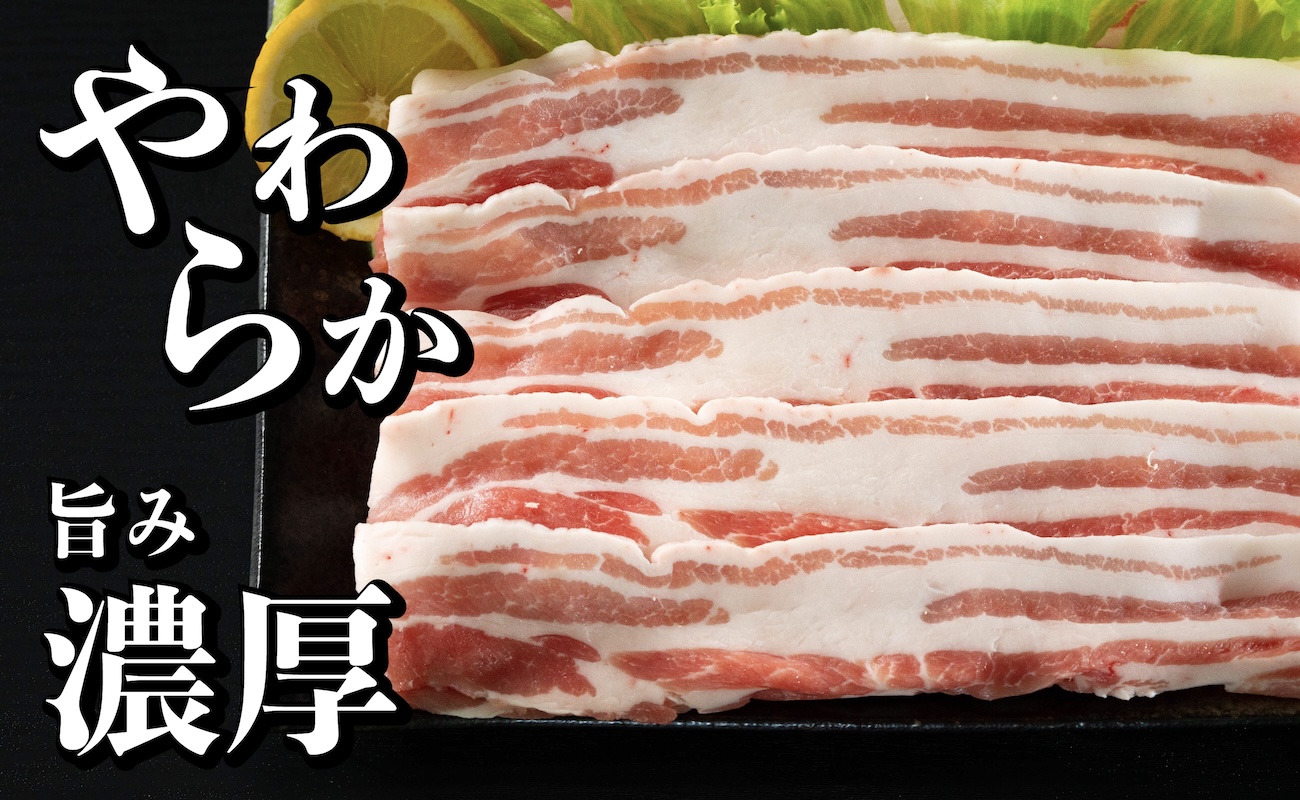 B580 《定期便》長崎県産豚 バラスライス 計1kg(500g×2) 【12回お届け】