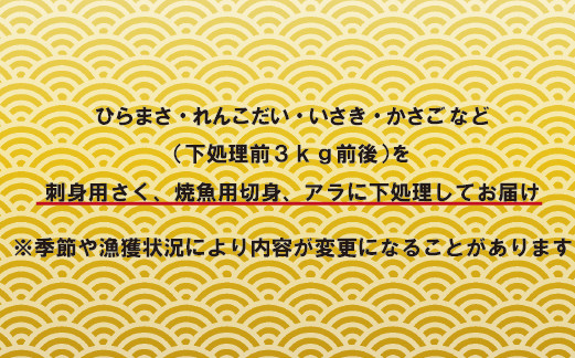 五島列島旬の地魚大漁セット(約5人前)