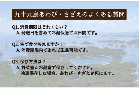 九十九島あわび(600g)･さざえ(600g) 生食 新鮮 魚介 魚貝 贈答 お中元 お歳暮 ギフト