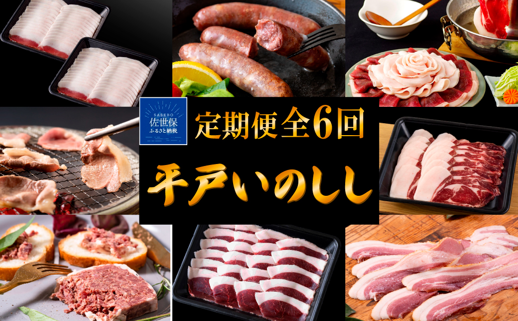 B564 《定期便》 Newジビエ 平戸いのしし肉 と加工品の月替わり便【6回お届け】