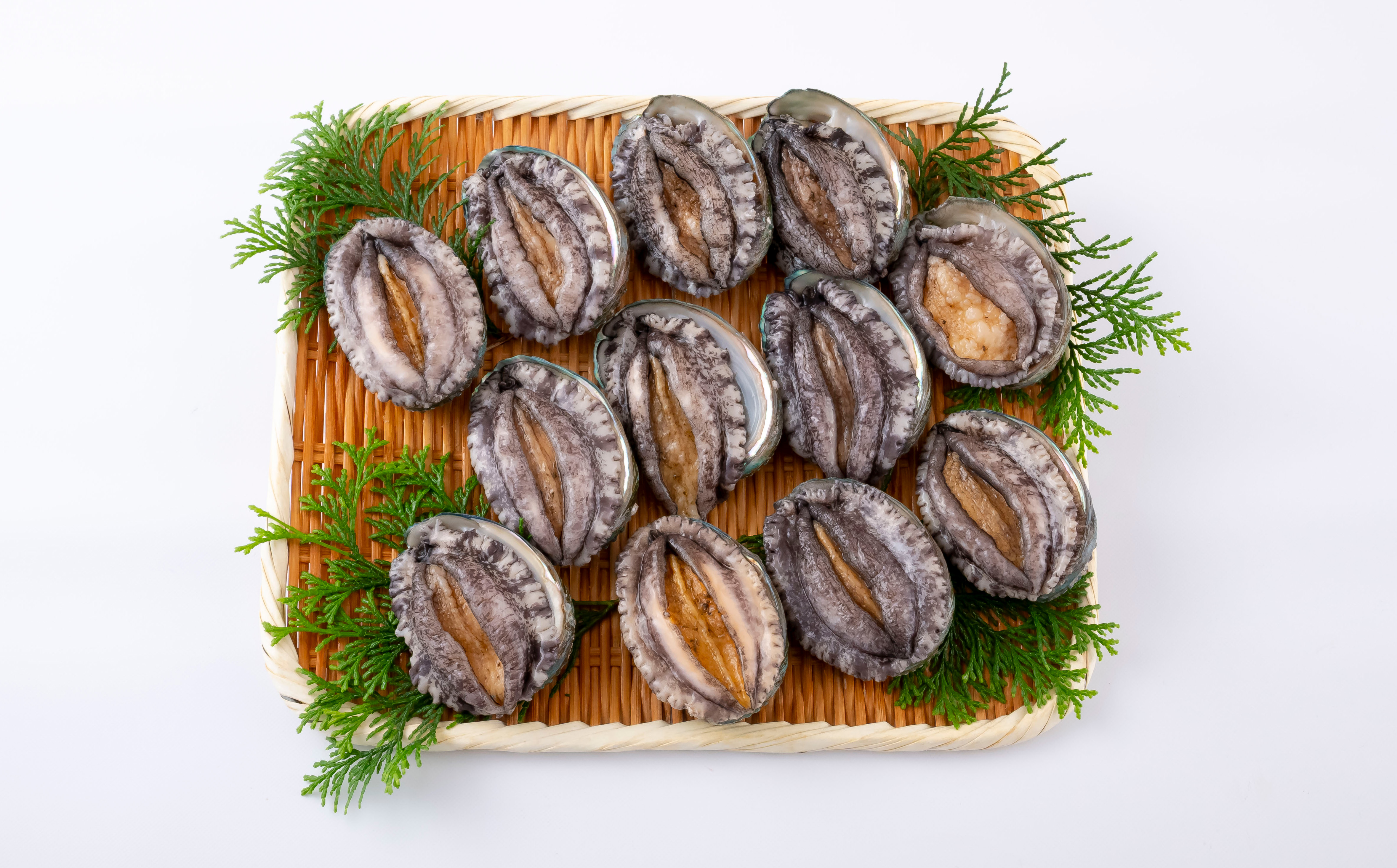 A501 九十九島活あわび(900g)養殖