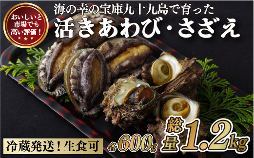 九十九島あわび(600g)･さざえ(600g) 生食 新鮮 魚介 魚貝 贈答 お中元 お歳暮 ギフト