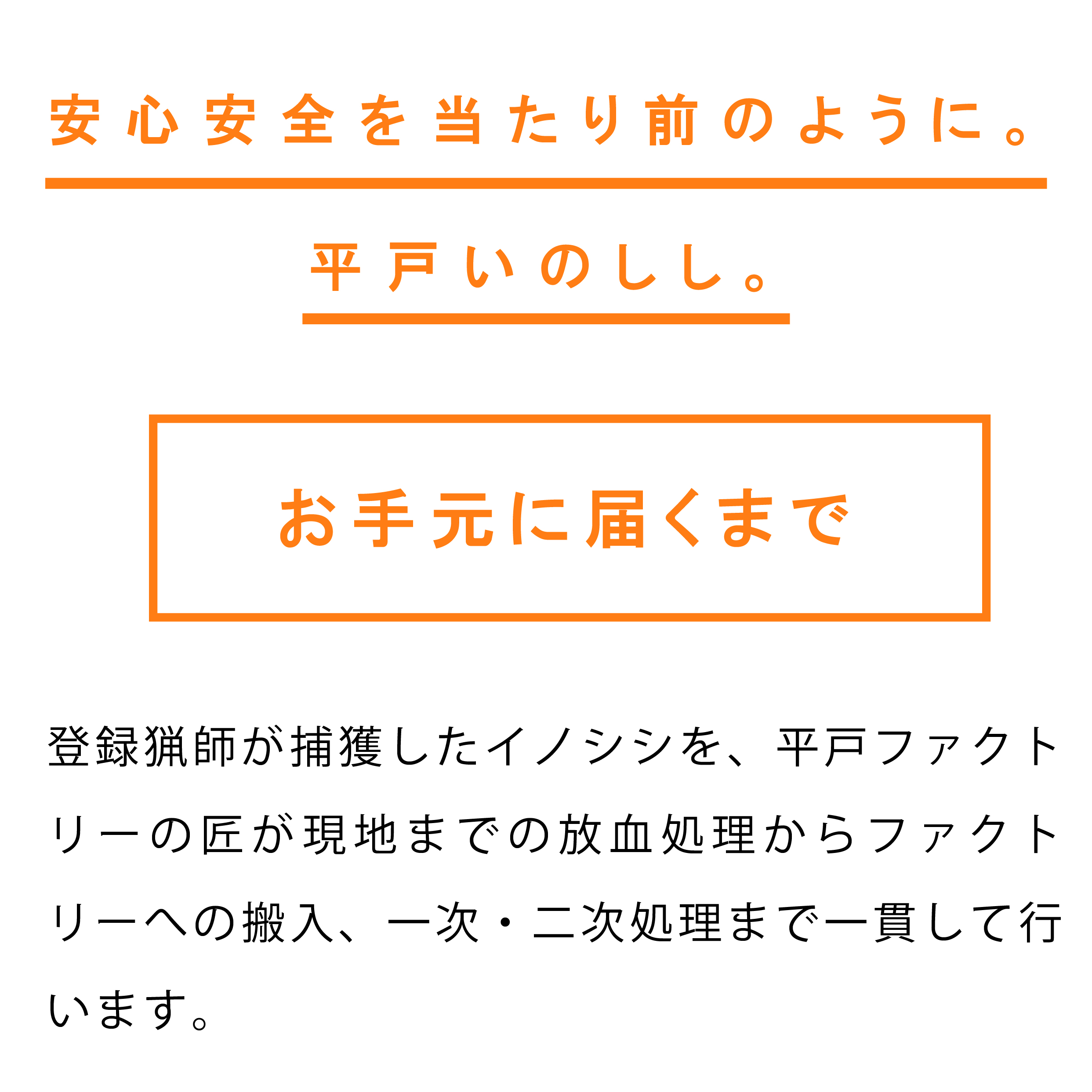 B566 《定期便》Newジビエ 平戸いのしし 食べ比べ月替わり便(ロース･肩ロース･バラ)【3回お届け】