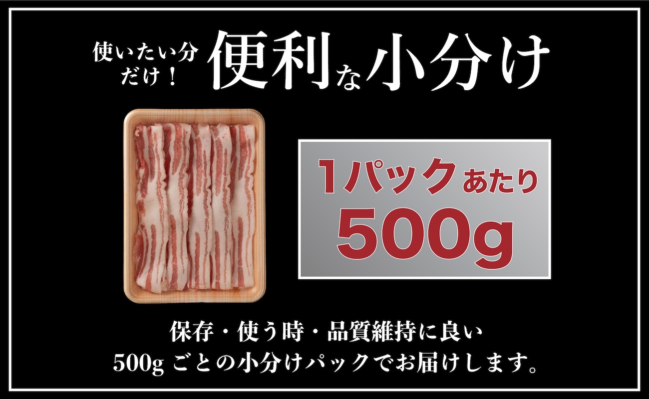 B578 《定期便》長崎県産豚 バラスライス 計1kg(500g×2) 【3回お届け】