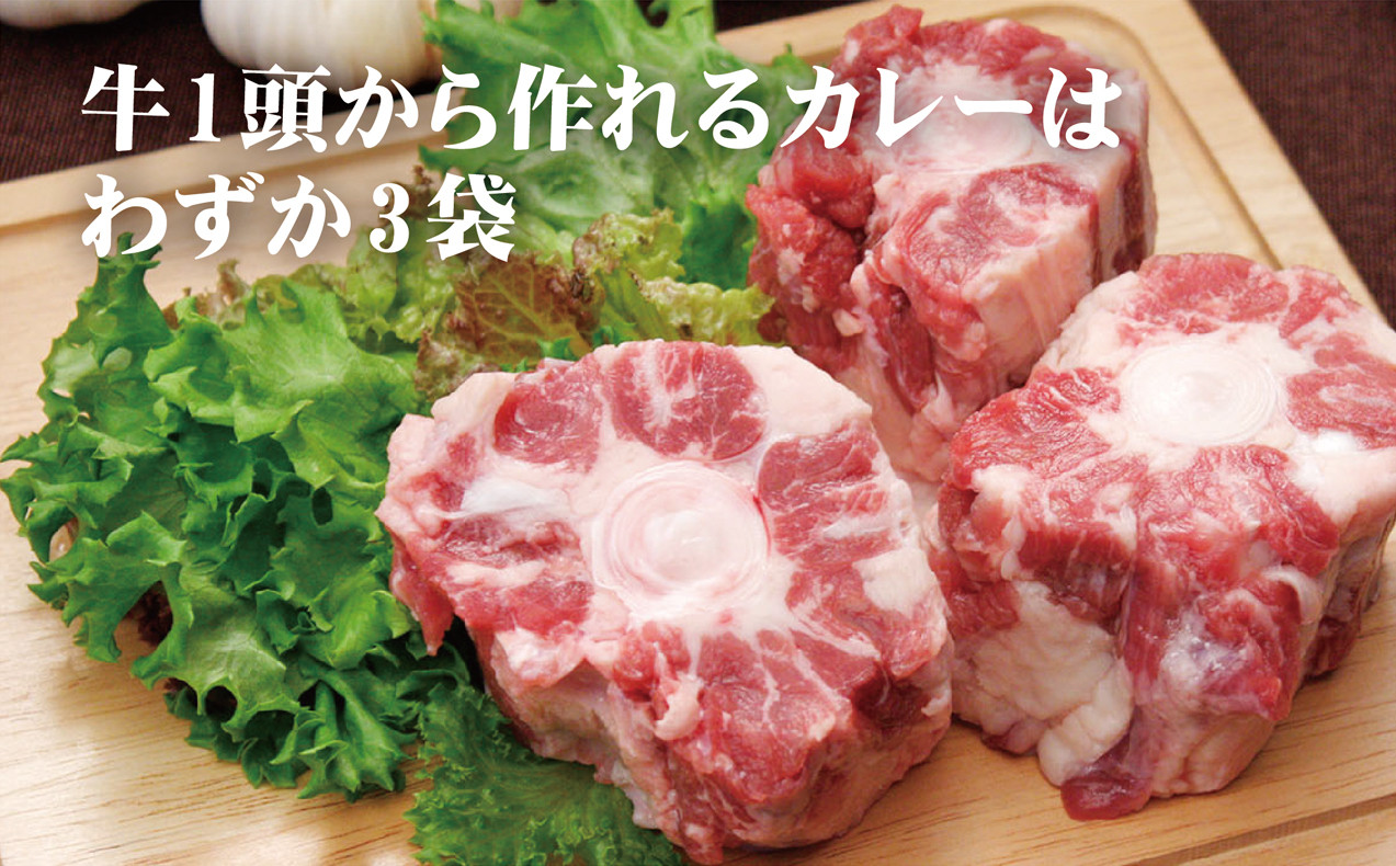 【2024北野エースカレー大賞受賞】【驚きの肉量】牛テールカレー ゴロット 3個セット 【豊味館】感動のやわらかさ Gorotto 長崎 佐世保 九州 レトルトカレー ビーフカレー