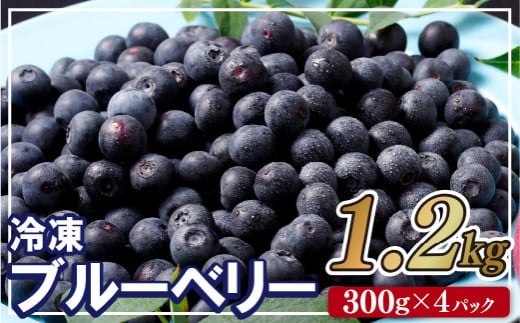 冷凍ブルーベリー ｢あいあいの雫｣ 計1.2kg (300g×4P) ジップ付き小分け【堀内フルーツファーム】パウチ袋 果物 ブルーベリー フルーツ 小分け 長崎 佐世保 九州 冷凍 国産