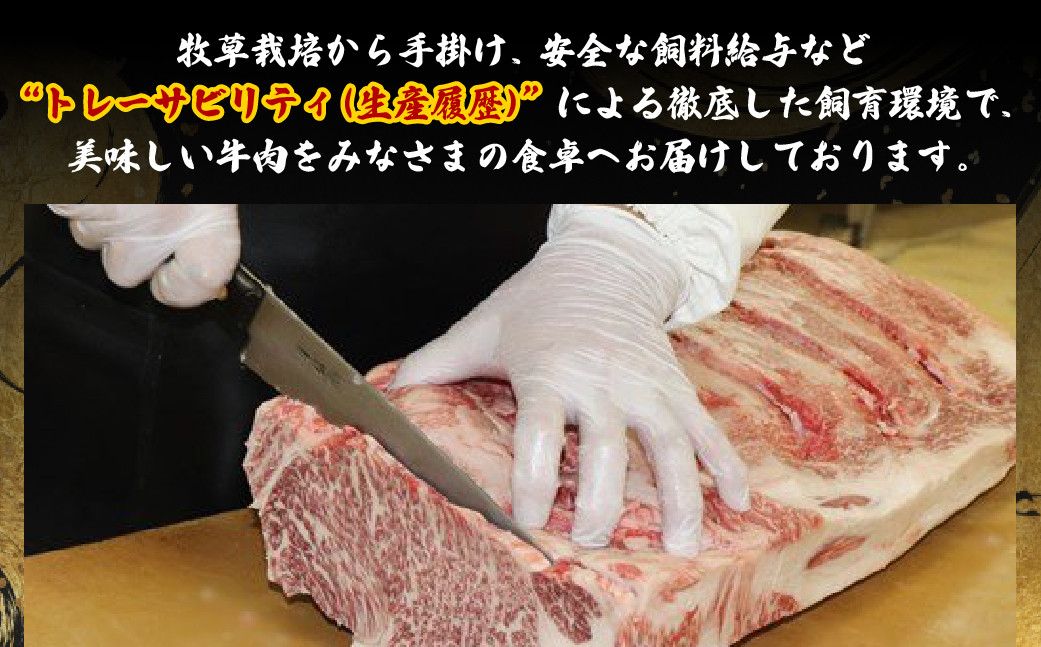 長崎和牛赤身･バラ切り落とし(600g)