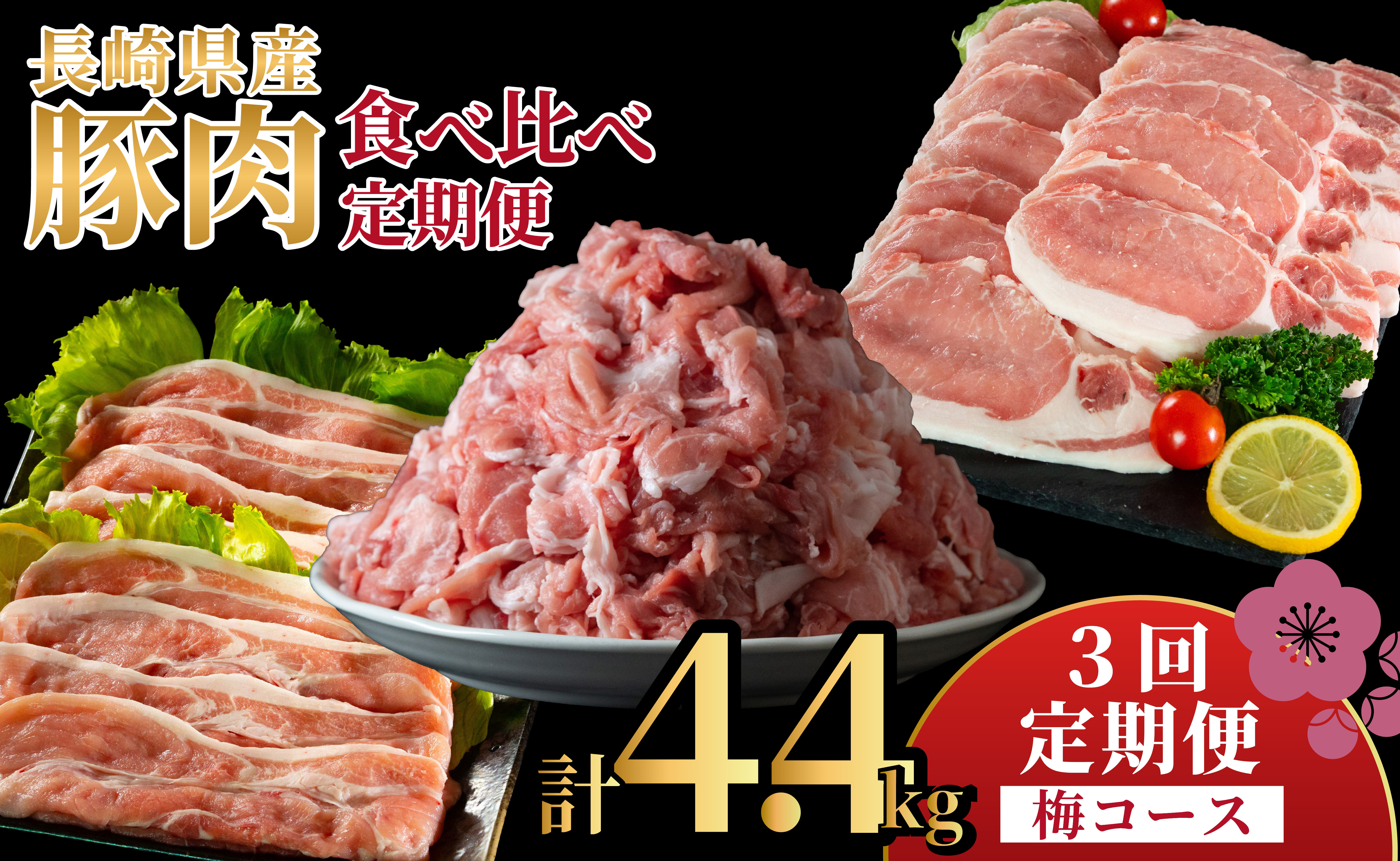 B621 《定期便》長崎県産豚 食べ比べ 梅コース【3回お届け】