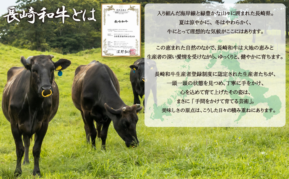 E496《定期便》長崎和牛餃子(A4等級以上)  (14個入×3パック)【3回お届け】