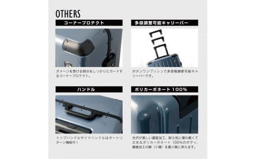 G515 PC7000スーツケースLシルクホワイト