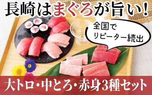 長崎県産 本マグロ (大トロ・中トロ・赤身)  計600g以上 海鮮丼のタレ付き 真空パック後に超速冷凍【本家永松家】マグロ まぐろ 鮪 大トロ 大とろ 中トロ 中とろ 赤身 刺身 海鮮丼