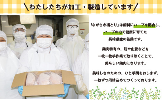 【鶏肉むね・ささみセット】ながさき福とり 鶏肉正肉セット (計6,000g) 【長崎福鳥】小分け 真空冷凍 冷凍 むね ムネ ささみ ササミ ハーブの力で健康に育てたブランド鶏